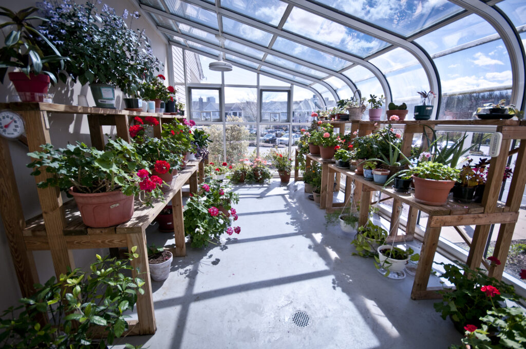 Colorful plants fill the Crane's Mill Greenhouse